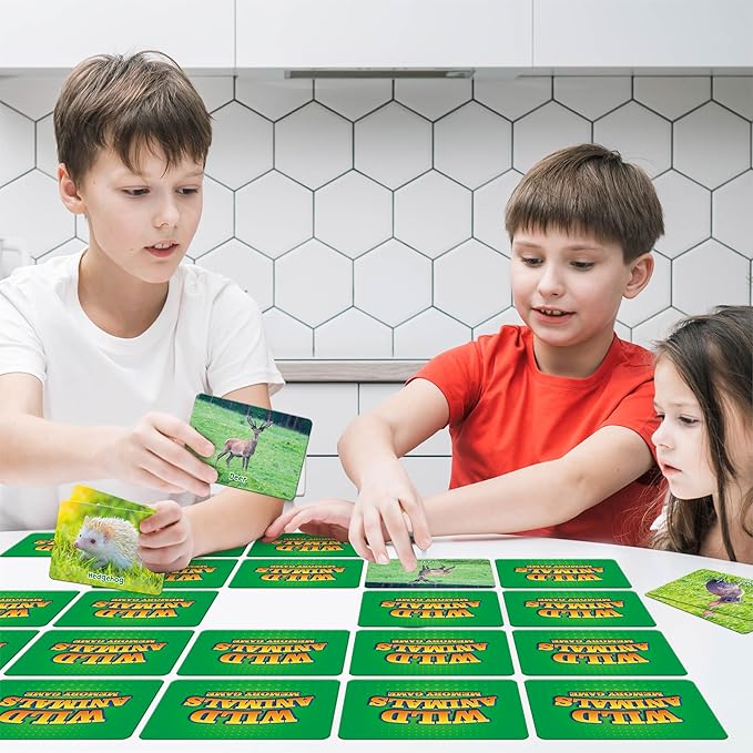 Hebayy Wild Animal Matching Game, 80 PCS Realistic Animal Memory Matching Cards for Toddlers 40 Pairs Real Animal Memory Cards Educational Toys for Preschool Boys & Girls 4 5 6 Years Old