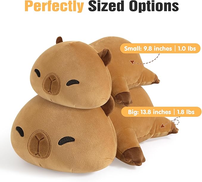 Onsoyours Original Weighted Stuffed Animals, Cute Weighted Positive Capybara Plush Pillow Toy Soft Weighted Capybara Plushies Gift for Kids Adults (9.8", 1.0 Lbs)