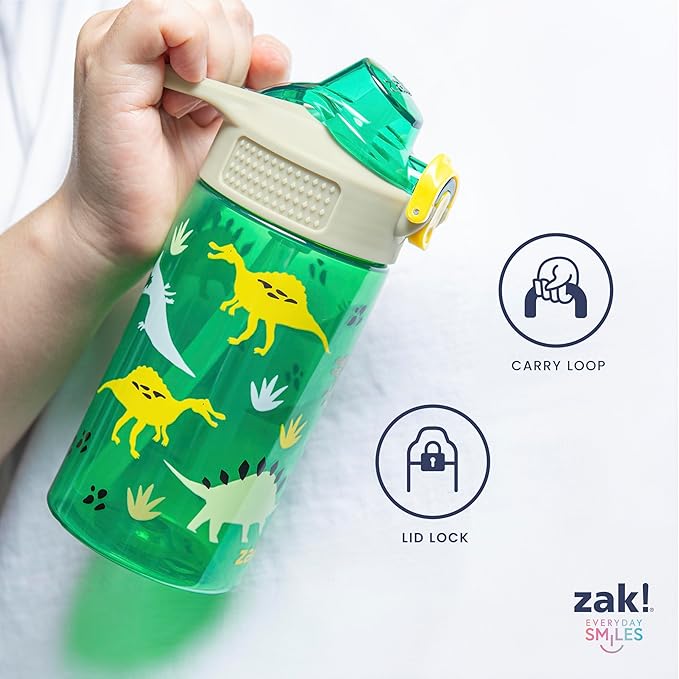 Zak Designs TMNT Sage Kids Water Bottle For School or Travel, 16oz Durable Plastic Water Bottle With Straw, Handle, and Leak-Proof, Pop-Up Spout Cover, 2-Pack Set (Teenage Mutant Ninja Turtles)