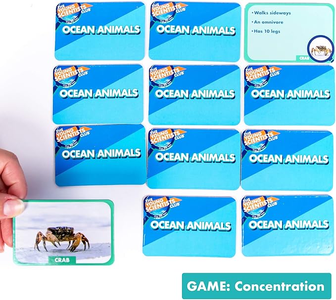 Young Scientist Ocean Animal Card Games - 4 in 1 Matching, Bingo, Memory, Trivia, Hands-On Educational STEM Fun for Age 5 and Up, Blue