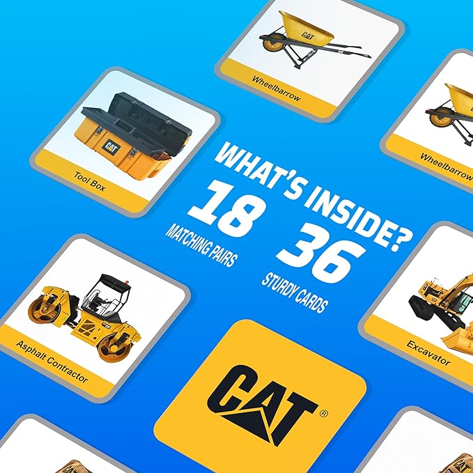 MasterPieces Officially Licensed CAT Picture Matching Card Game for Kids and Families