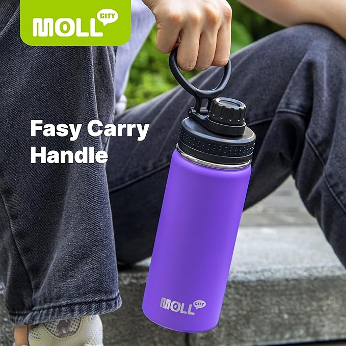 Insulated Water Bottle-22 oz Stainless Steel Double Wall Vacuum Wide Mouth Water Bottle with Spout Lid-Metal Leak Proof Flask for Travel (Purple)