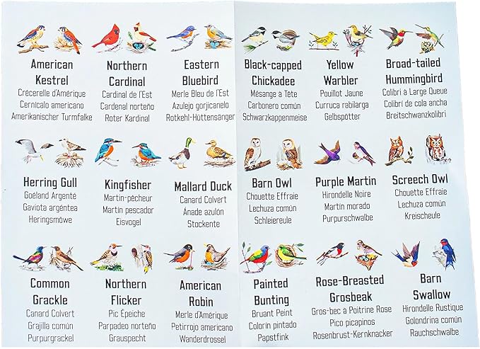 eeBoo: Memory & Matching Game- Little Birds- 18 Illustrated Matching Pairs, Concentration Tile Game, Informational Insert, Kids Ages 4+, 1-4 Players