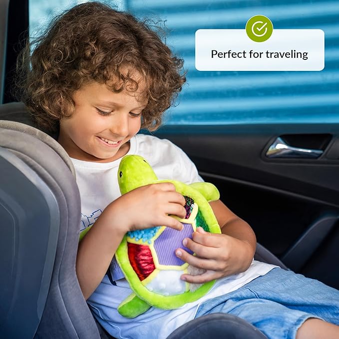 ODOXIA Sensory Turtle Stuffed Animal | Plush Toy | Fidget Stuffed Animal for Kids | Great for Sensory Needs | Pillow Plush for Children