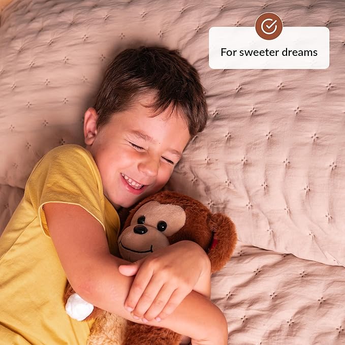 ODOXIA Sensory Monkey Stuffed Animal | Sensory Plush Toy | Fidget Stuffed Animal for Kids | Great for Sensory Needs | Sensory Stuffed Animals for Children | Sensory Pillow Plush