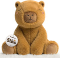 BRICHOEE 5lbs Weighted Capybara Stuffed Animals, 20'' Weighted Comfort Sensory Soothing Plush Toy, Cuddling Calming Cuddle Companion Gifts for Adults & Kids