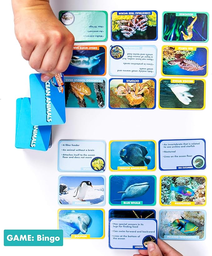 Young Scientist Ocean Animal Card Games - 4 in 1 Matching, Bingo, Memory, Trivia, Hands-On Educational STEM Fun for Age 5 and Up, Blue