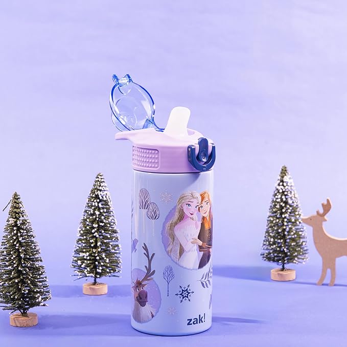 Zak Designs Disney Frozen Sage Kids Water Bottle For School or Travel, 14oz Stainless Steel Water Bottle With Straw, Handle, and Leak-Proof, Pop-Up Spout Cover (Anna & Elsa)