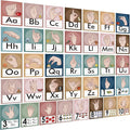 YIYDONG 36 Pieces ASL Alphabet Line Bulletin Board Set ABC Number Sign Language Flash Cards Wall Decorations for Pre-School Kindergarten Elementary Classroom Nursery Homeschool (Boho)