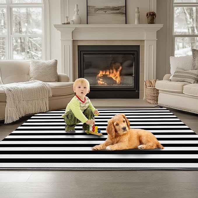 Geometric Horizontal Stripes Washable Soft Living Room Area Rug 3 x 5 ft, Black and White Non-Slip Low-Pile Carpet for Bedroom Dining Room Entryway Office Dorm Kitchen Rug