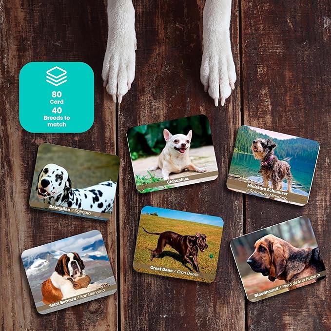 Menique – Dogs Memory Matching Game – Bilingual – 80 Cards (40 Pairs) with Real Photographs – Educational Game for Kids and Adults