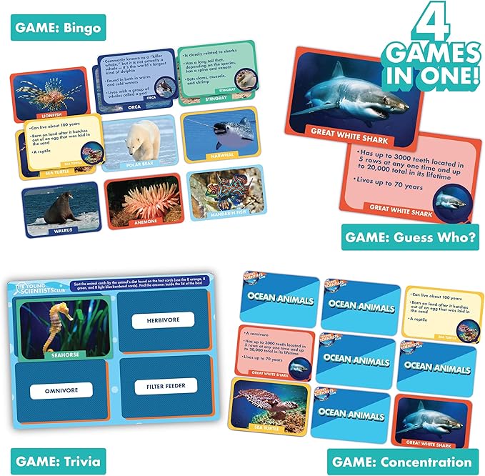 Young Scientist Ocean Animal Card Games - 4 in 1 Matching, Bingo, Memory, Trivia, Hands-On Educational STEM Fun for Age 5 and Up, Blue
