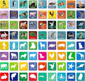 Hebayy 108 PCS Memory Matching Game, 72 Animal Cards & 36 Shadow Cards Matching Cards 36 Pairs Real Animal for Toddlers, Preschool, Kids 4 5 6 Years Old (2” x 2”)