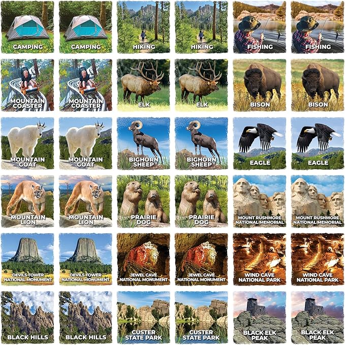 Masterpieces Jr Ranger - Black Hills Matching Game