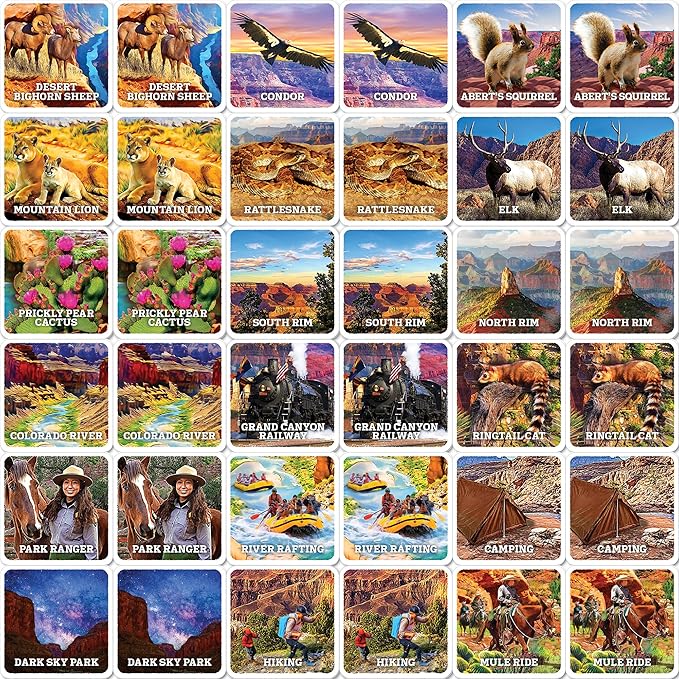 MasterPieces Officially Licensed National Parks Jr. Ranger Picture Matching Card Game for Kids and Families